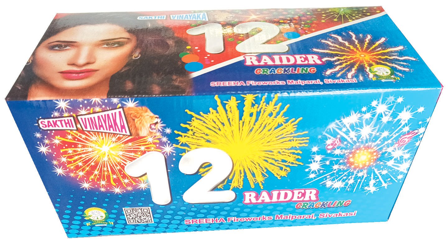 12 Shots Raider